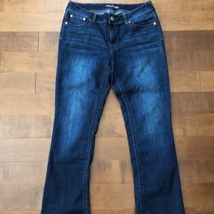 Maurices bootcut jeans